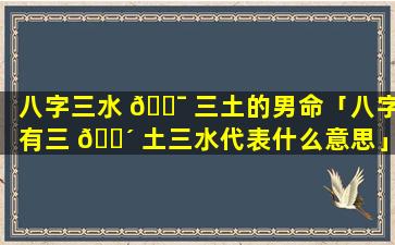 八字三水 🐯 三土的男命「八字有三 🌴 土三水代表什么意思」